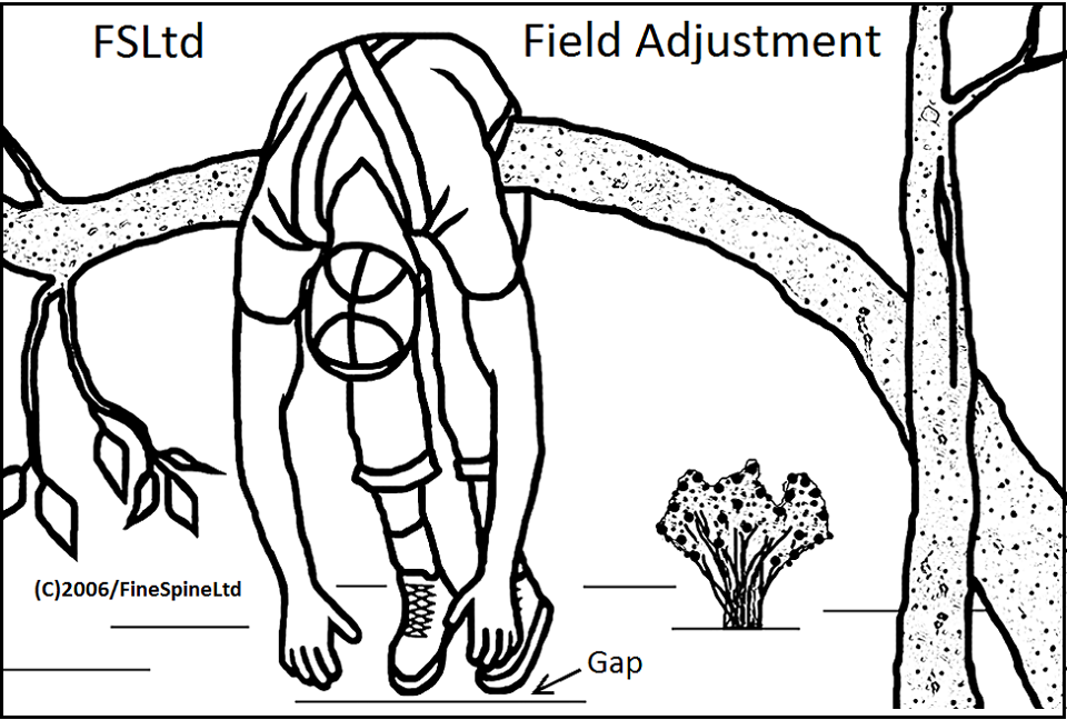 Lumbar Adjustment 