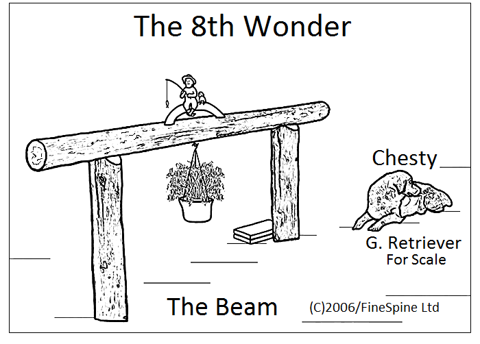 the beam
