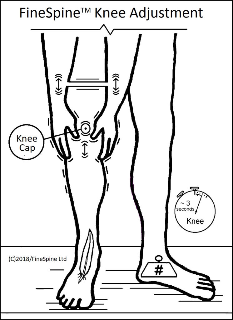 knee adjustment