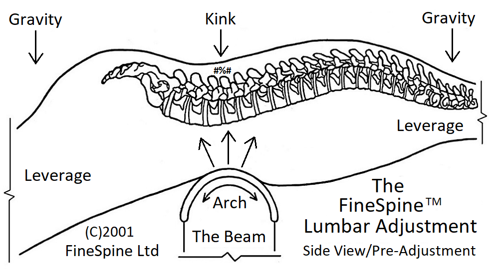 lumbar adjustment view